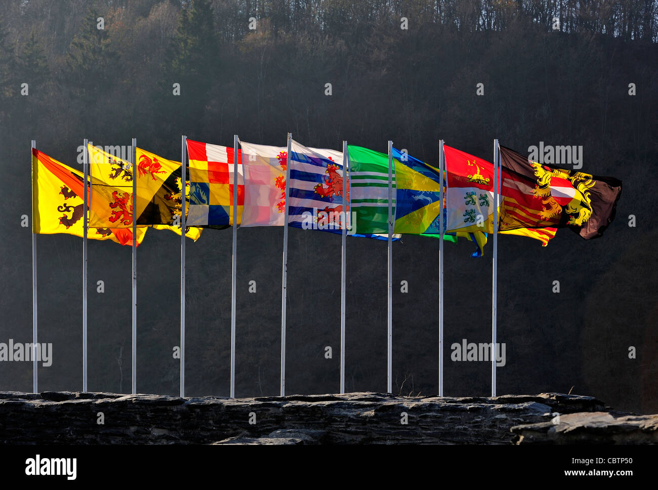 Rangée de drapeaux montrant armoiries des provinces flamande et wallonne en Belgique Royaume Uni Banque D'Images
