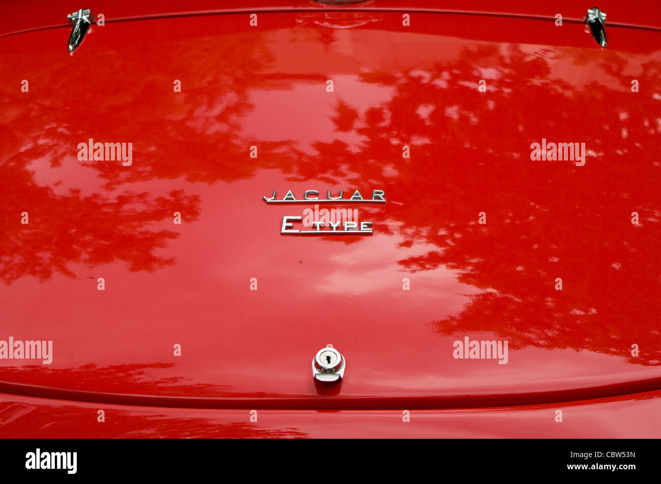 Couvercle du coffre car Jaguar E-Type Roadster Banque D'Images