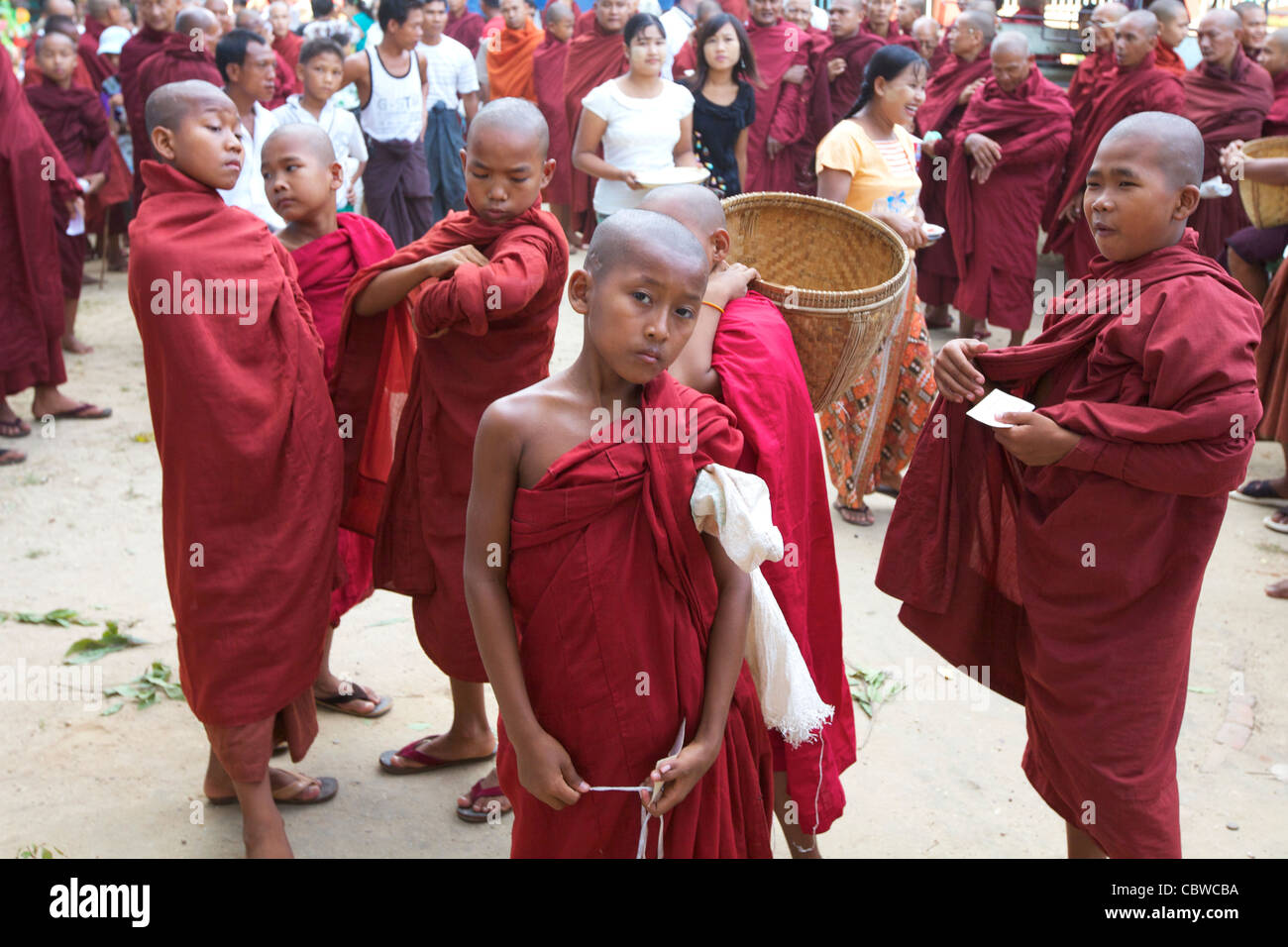 Un groupe de jeunes moines novices à Bagan, Myanmar Banque D'Images