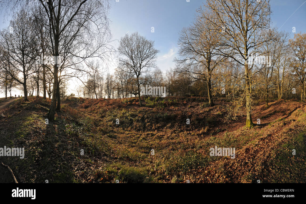 Fort de l'âge du Fer Holmbury Holmbury Hill, sur North Downs, Surrey, UK Banque D'Images