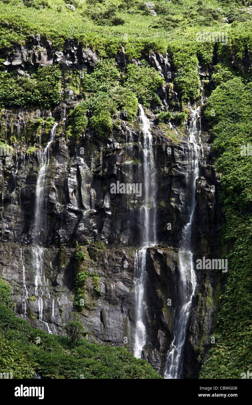 Chutes d'eau près de Faja Grande, Lajes das Flores, sur l'île la plus à l'ouest des Açores, Flores. Banque D'Images