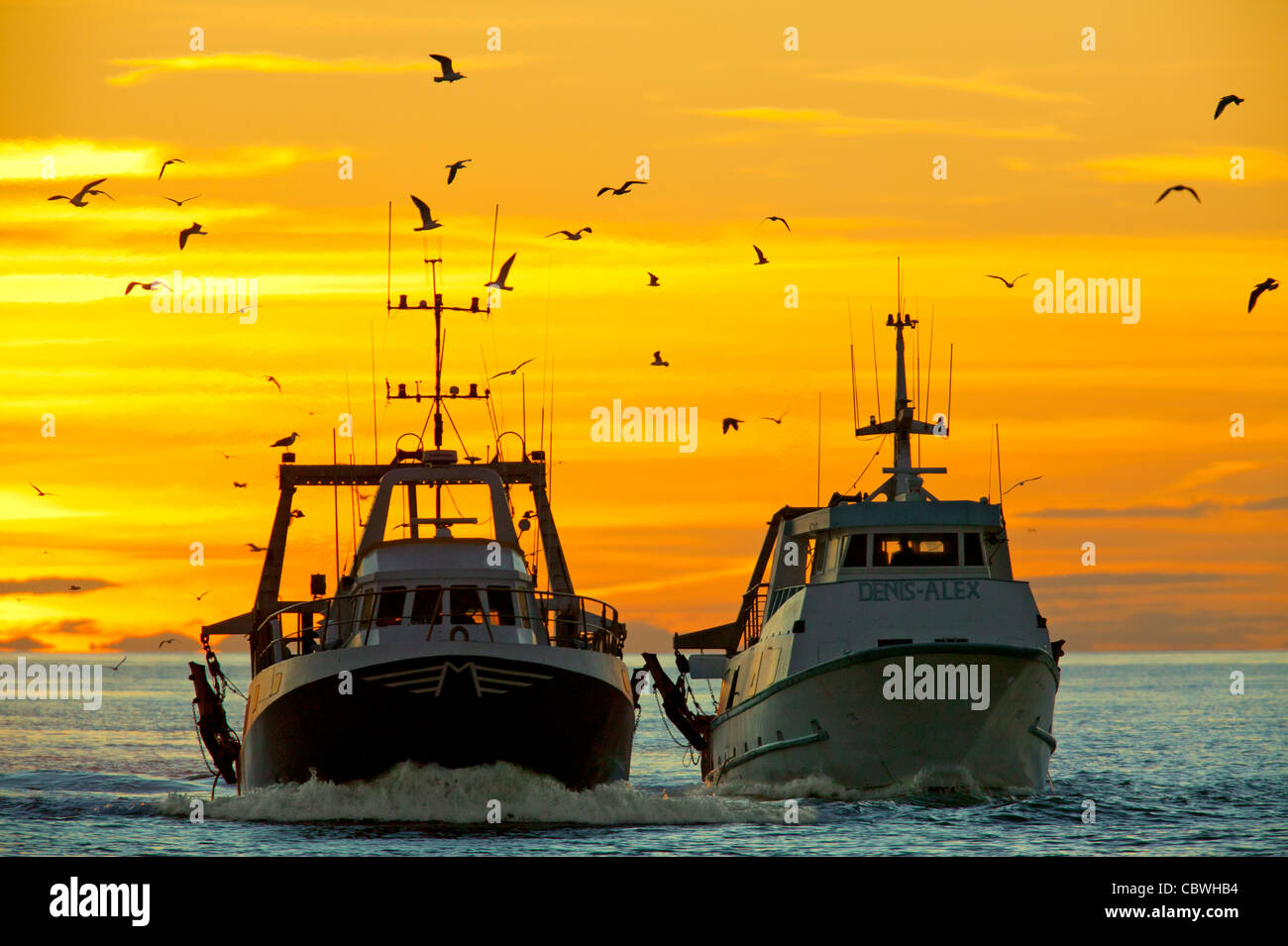 Des bateaux de pêche, Mer Méditerranée, France Banque D'Images