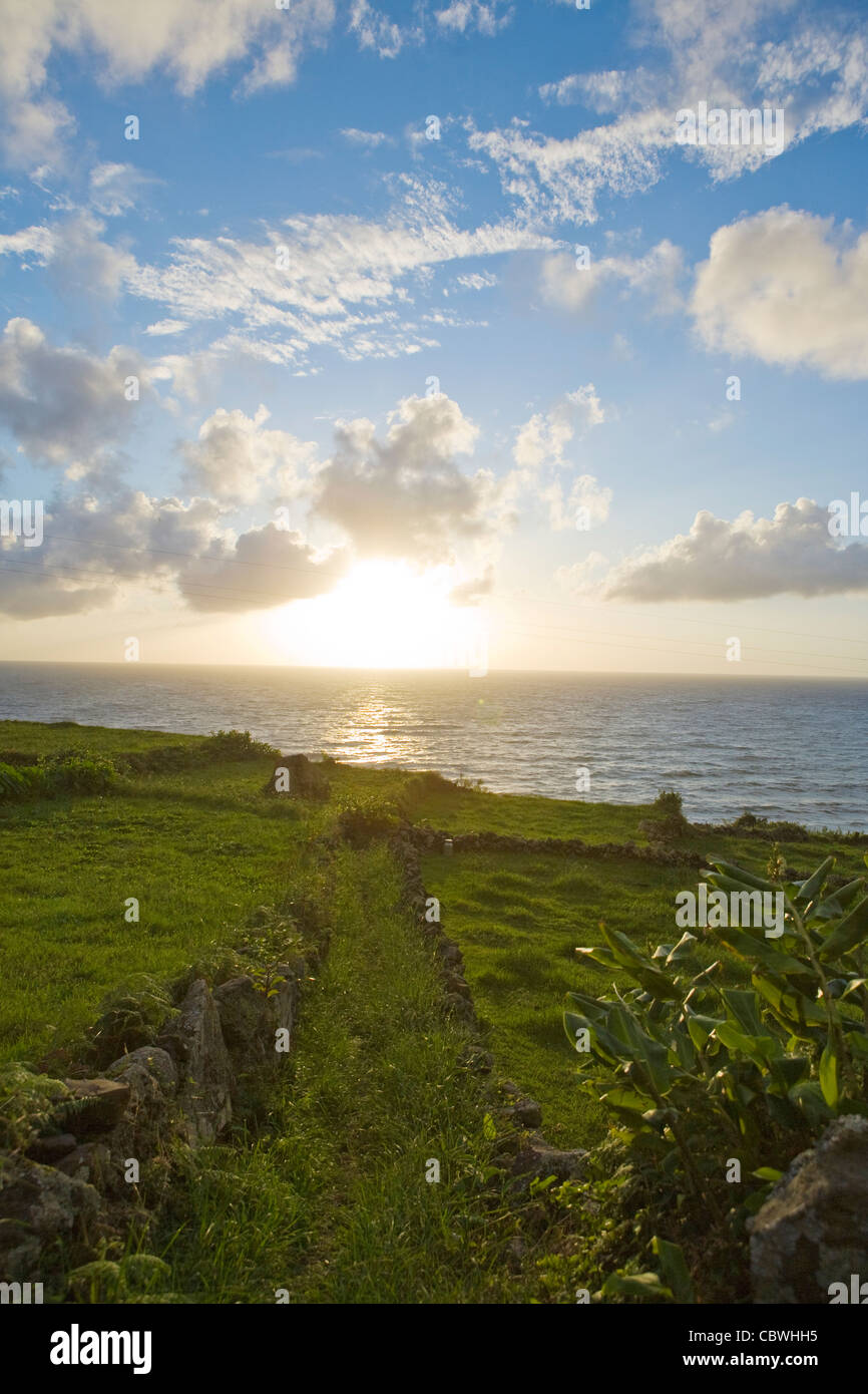 La côte au-dessus du village de Faja Grande. L'extrémité occidentale de l'Europe. Flores, Açores, Portugal Banque D'Images