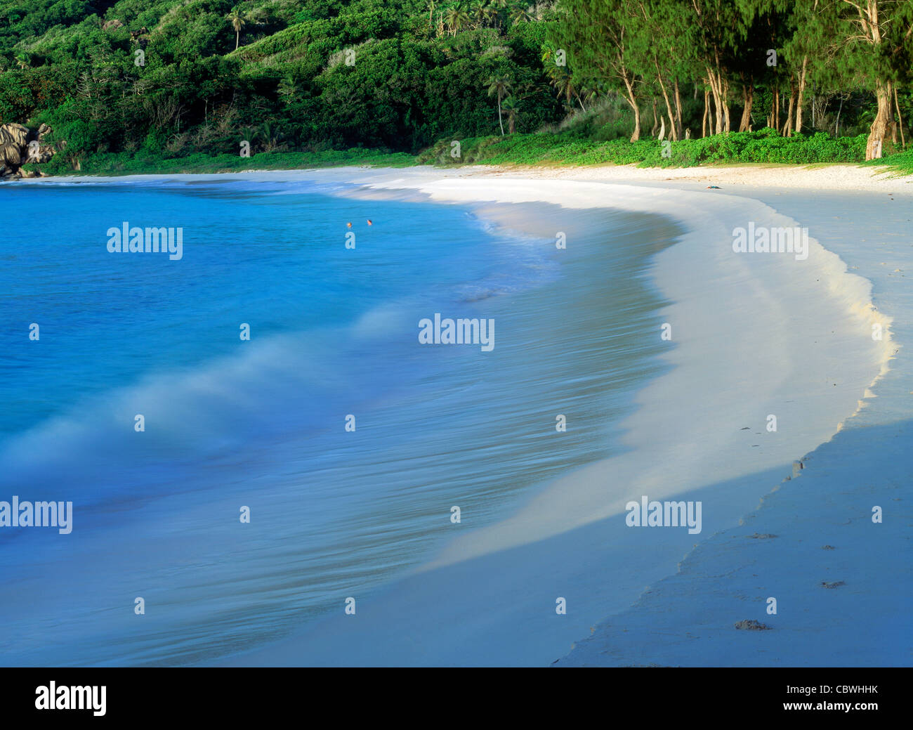 Seul Couple swimming off Anse Intendance sandy shore sur l'île de Mahé aux Seychelles Banque D'Images