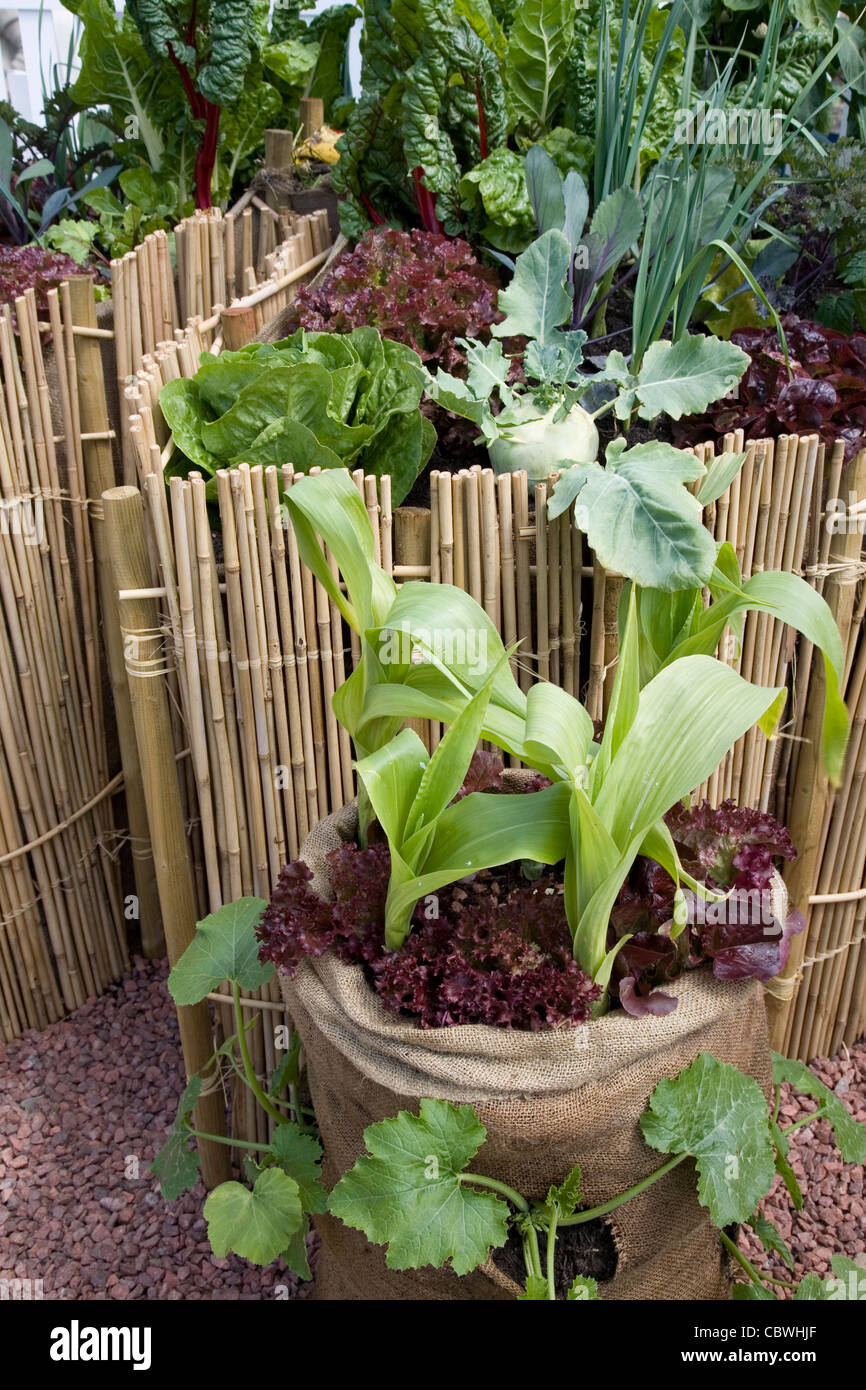 Jardin dans un sac Banque D'Images