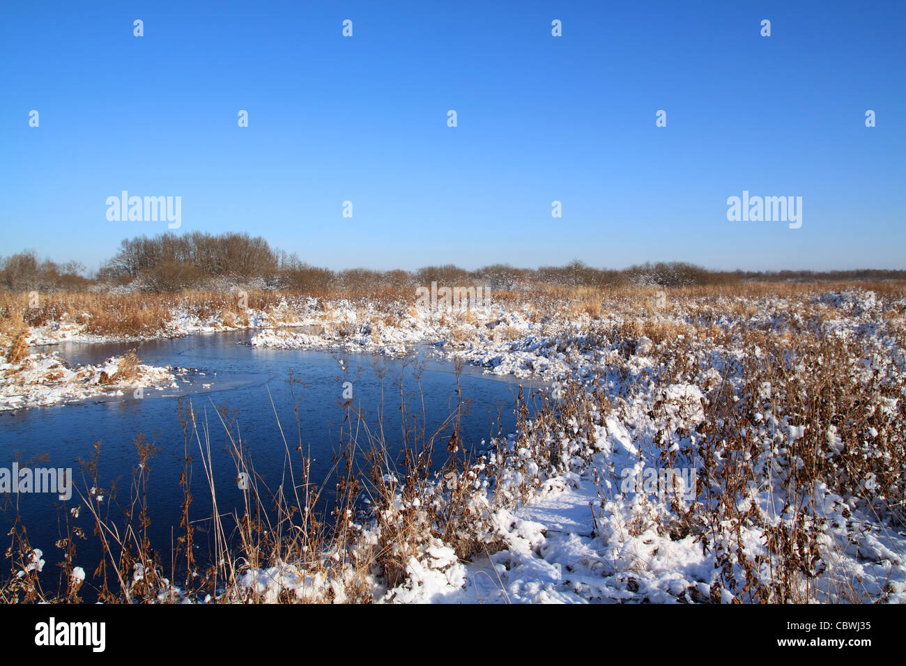 Petit lac près de l'herbe sèche Banque D'Images