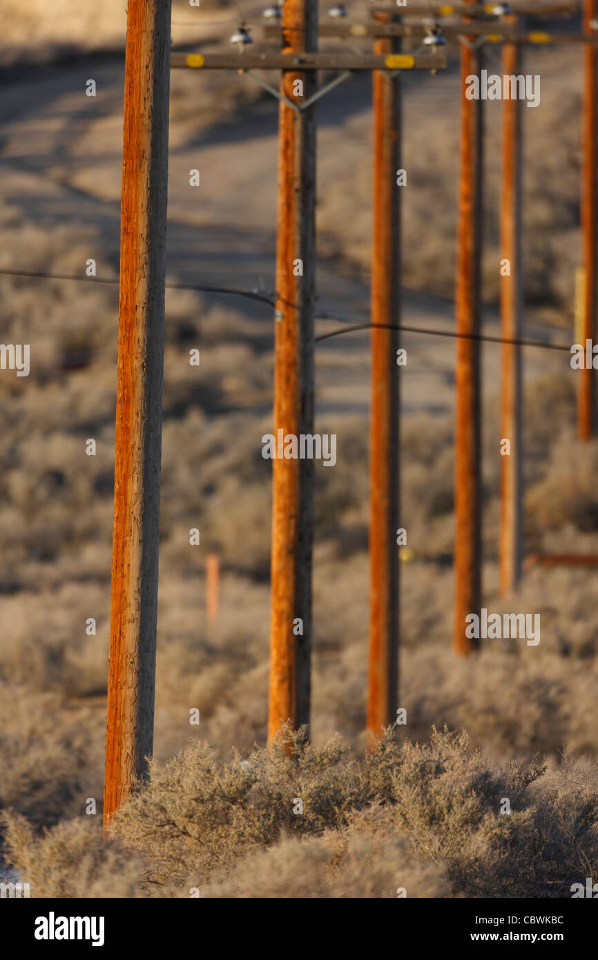 Avis de poteaux d'électricité sur le Midway-Sunset oil champ près de Taft, en Californie. Banque D'Images