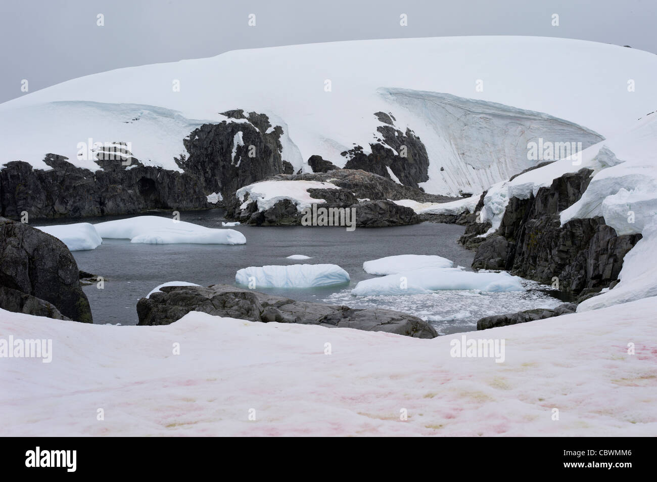 L'Antarctique, l'île PETERMANN Banque D'Images