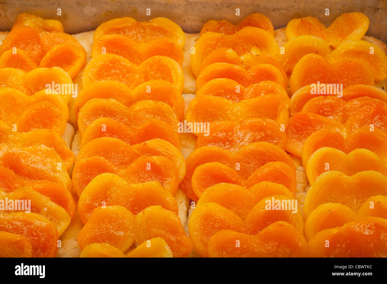 Les modèles de fruits sur le dessus de la tarte abricot fraîchement cuits dans un bac en métal Banque D'Images