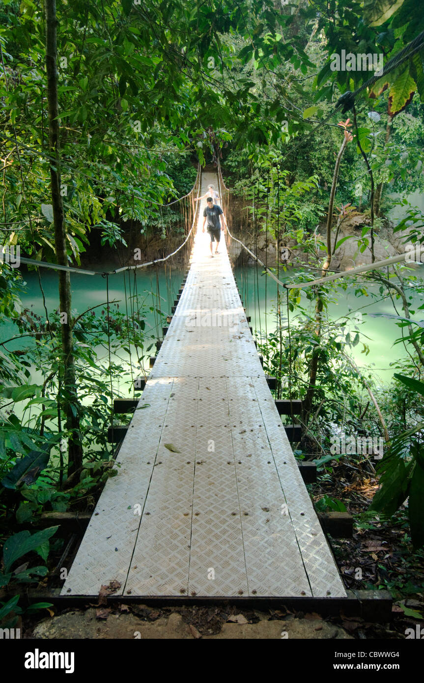 Suspension Bridge baie Drake Auberge Aguila de Osa Osa Peninsula Costa Rica Banque D'Images