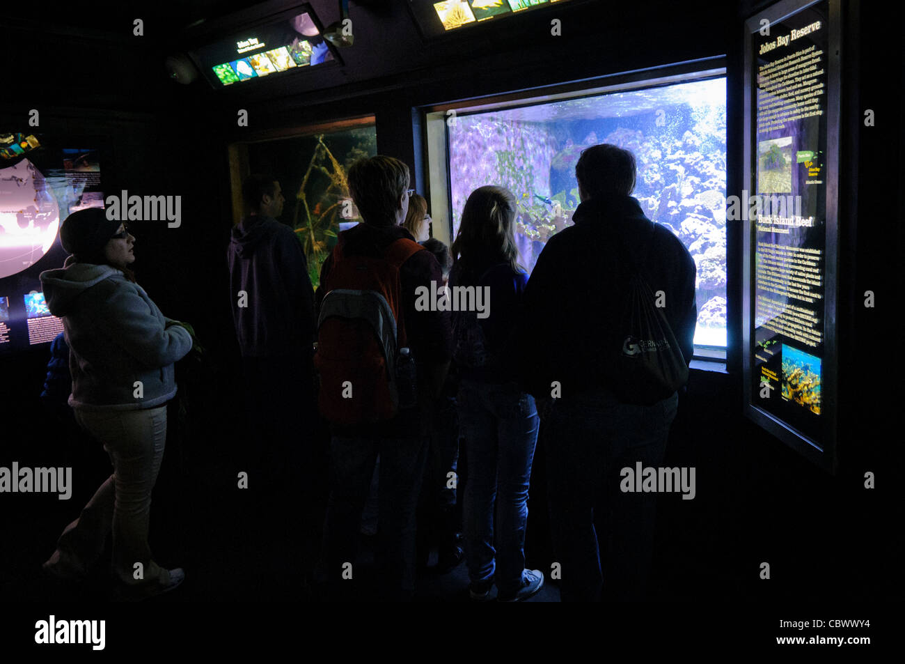 WASHINGTON DC, Etats-Unis - une famille de visiteurs à Washington DC, National Aquarium, inspecter l'une des pièces. L'Aquarium National est dans le sous-sol de l'immeuble du ministère du Commerce, où il a été installé depuis 1932. Bien plus petit et moins connu que ses installations affiliées à Baltimore, Washington's Aquarium national se compose d'une série de réservoirs l'illustre différents types d'environnements marins, avec un accent particulier sur les nombreux sanctuaires marins américains en territoire marin. NB : L'aquarium a fermé en 2013. Banque D'Images