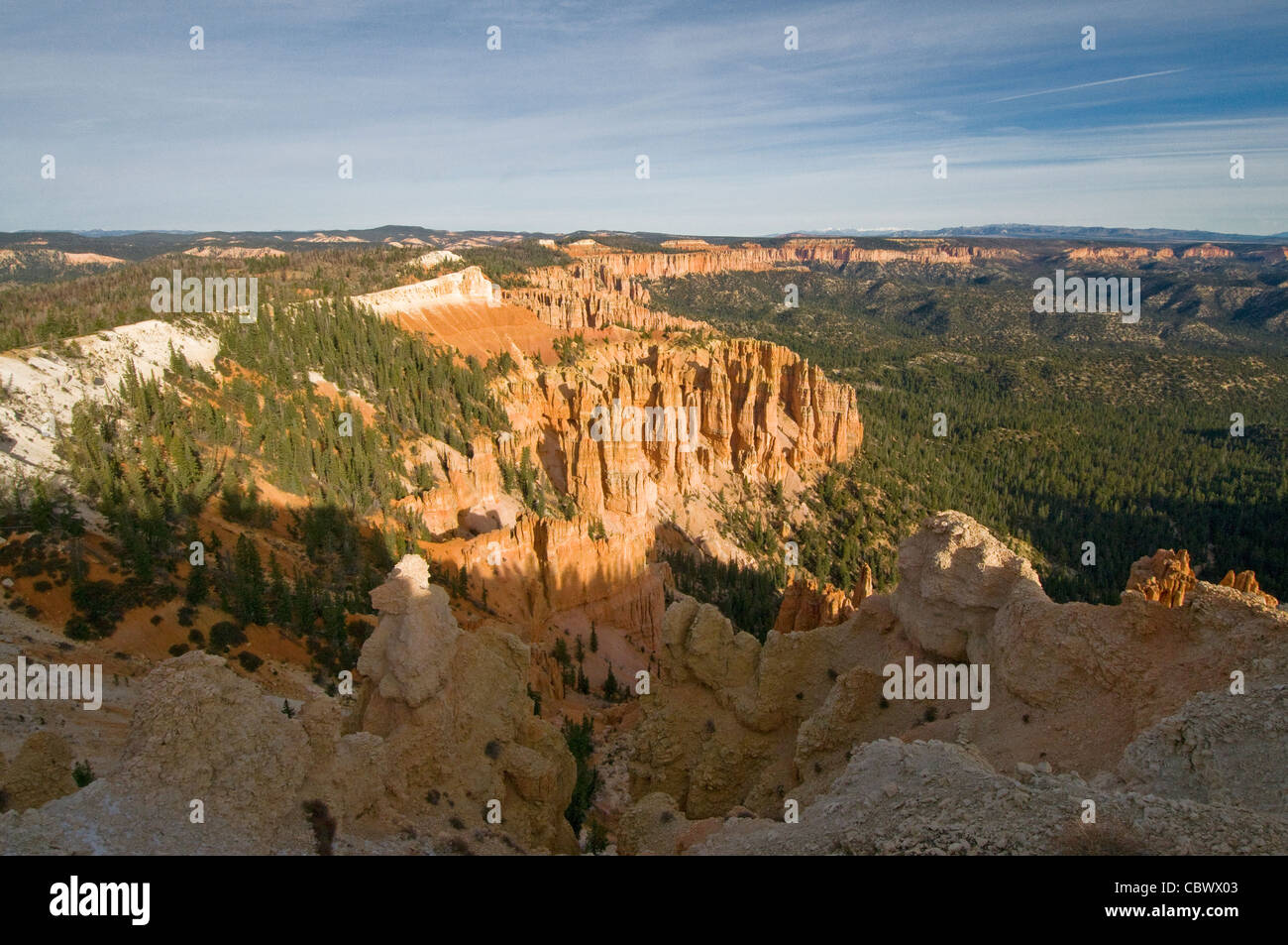 Cheminées de grès rouge dans le Parc National de Bryce Canyon Utah Banque D'Images