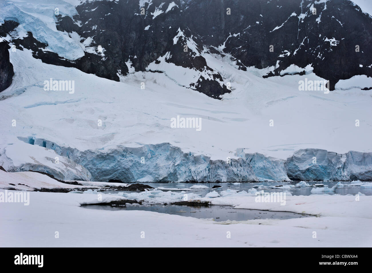 L'Antarctique, l'île RONGE GLACIER Banque D'Images