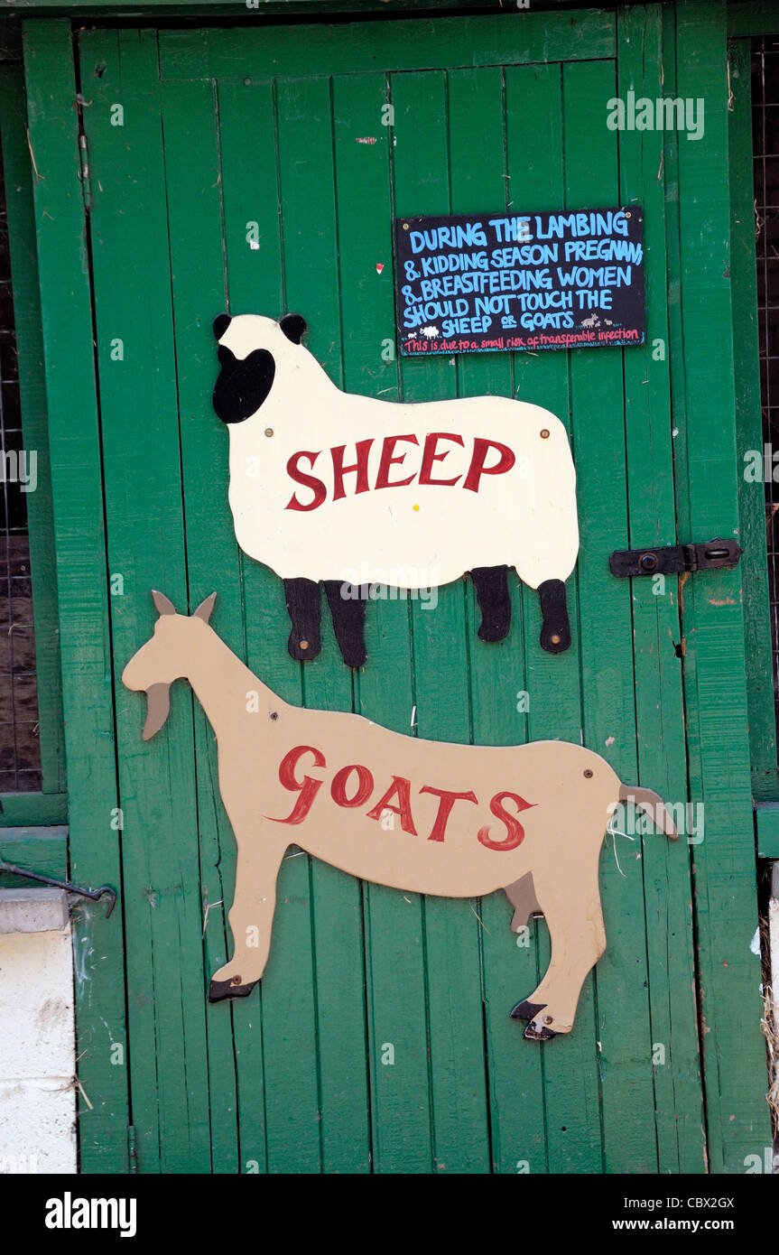 Les moutons et les chèvres des signes de coupure sur porte en bois peint vert véreux, Hackney City Farm London England UK Banque D'Images