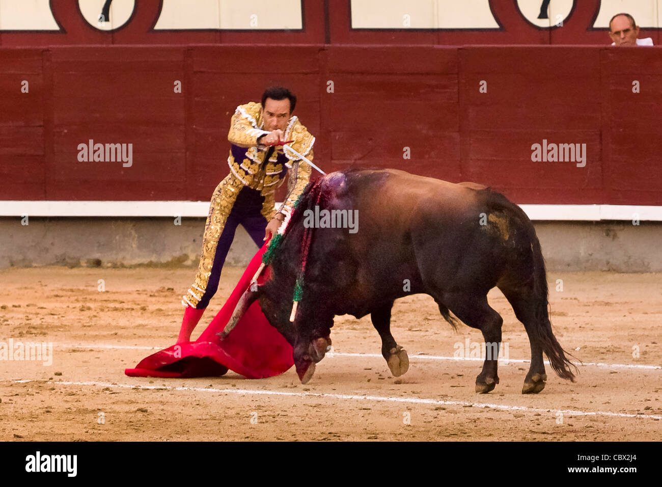 CORRIDA MADRID ESPAGNE Banque D'Images