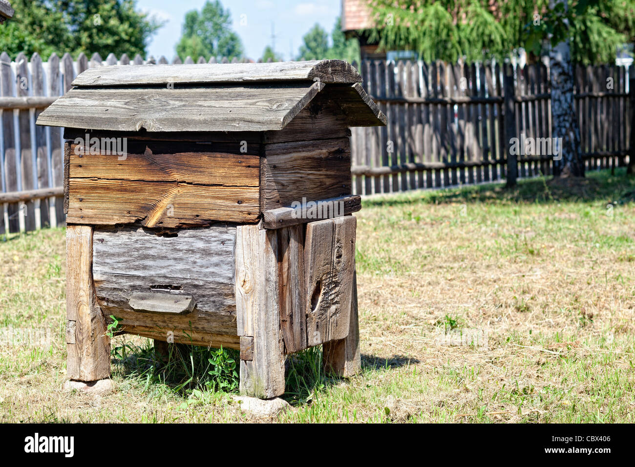 XIX siècle de ruche Pologne rurale faite de tronc d'arbre creux Banque D'Images