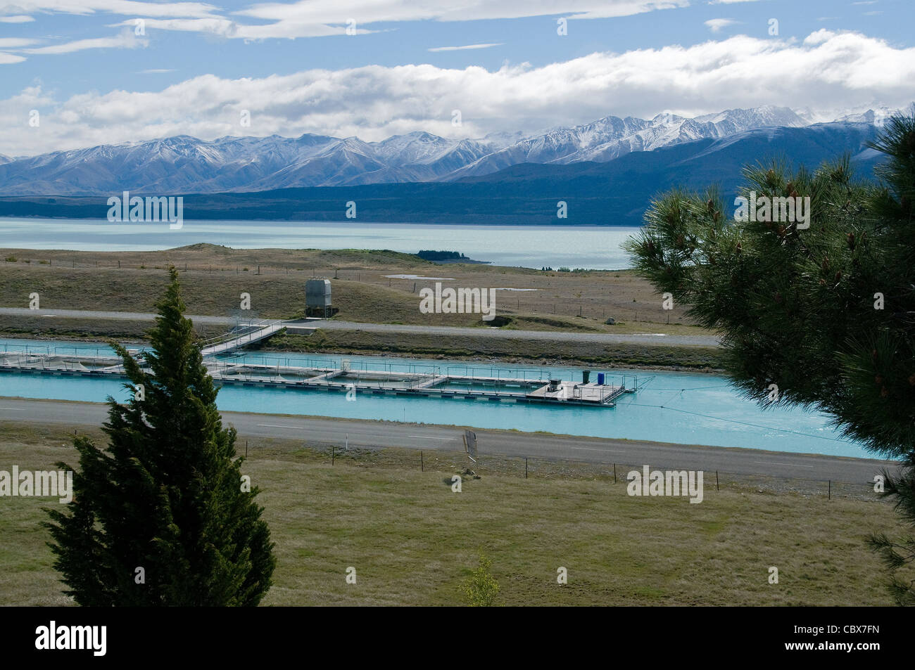 New Zealand's Mount Cook Saumon alpin ferme près de Tekapo produit toutes les saumons de roi alpin disponibilité commercialement dans le monde. Banque D'Images