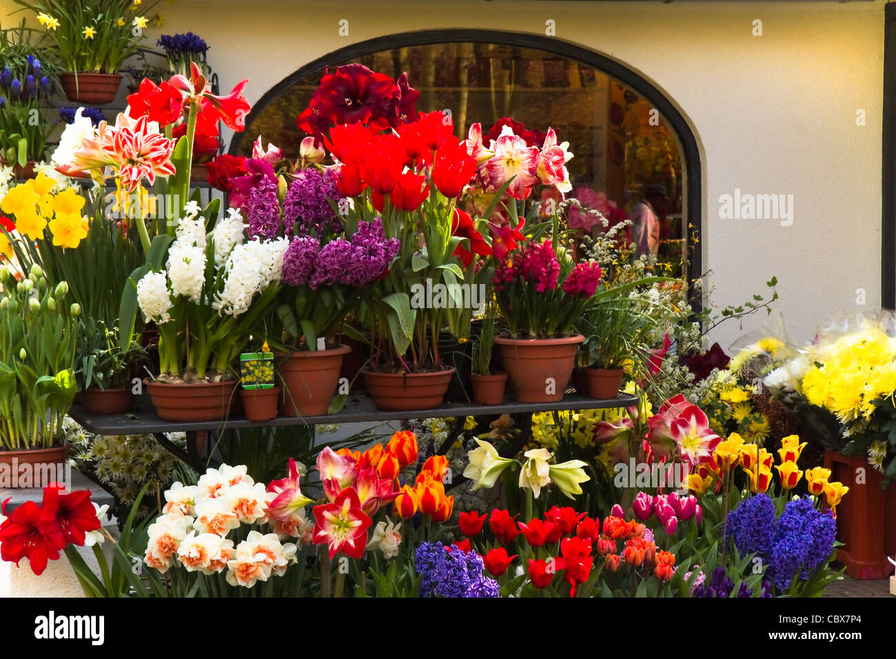 De parterres de fleurs du printemps à l'extérieur d'un fleuriste Banque D'Images