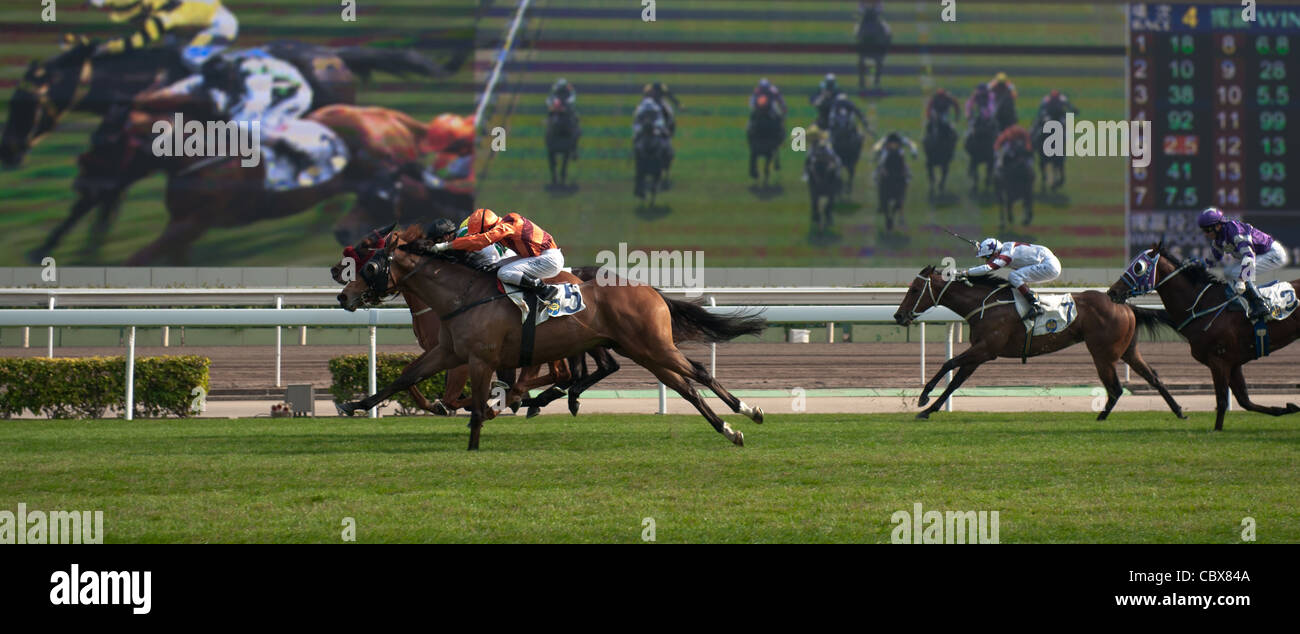 Sha Tin, Hong Kong. Courses de chevaux et les paris à la piste de course du Hong Kong Jockey Club. Banque D'Images