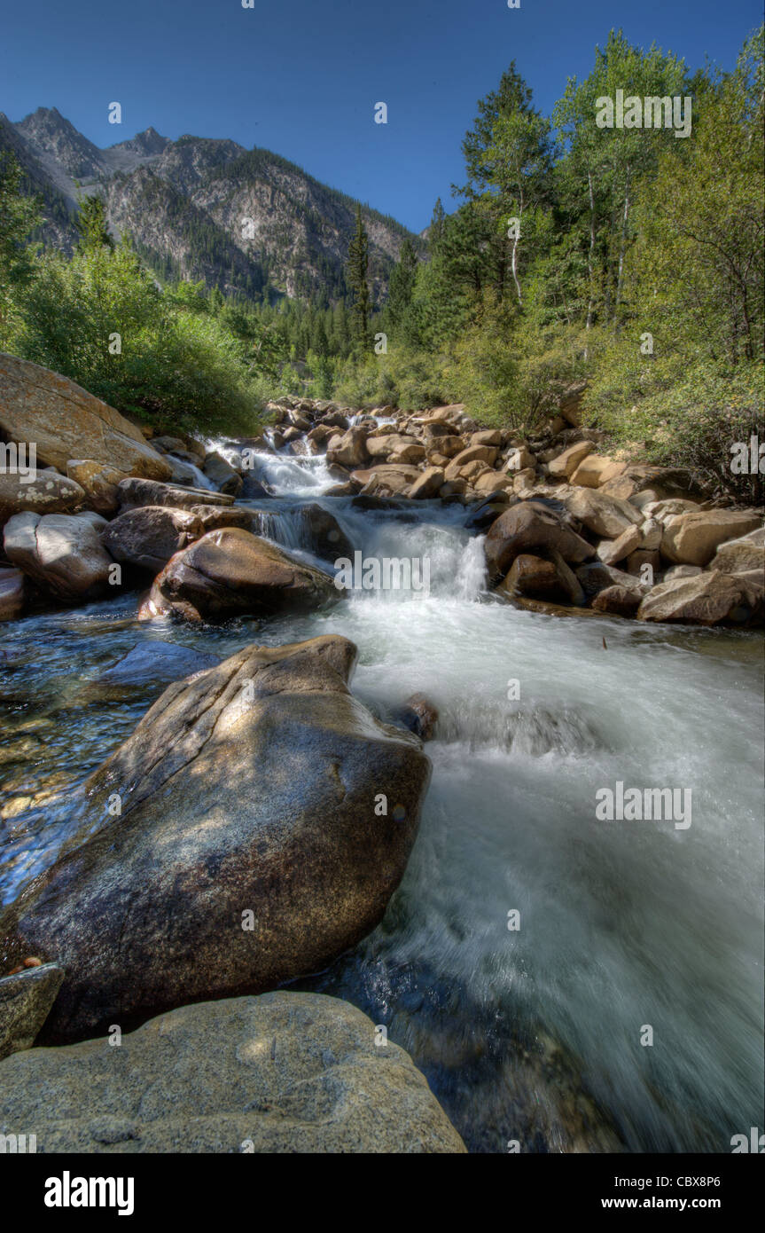 La craie sur Cascade Creek, près de Mt. Princeton, San Isabel National Forest, Colorado. Banque D'Images