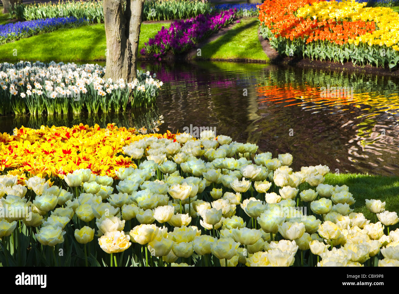 Étang dans le parc avec des fleurs de printemps tout autour de Banque D'Images