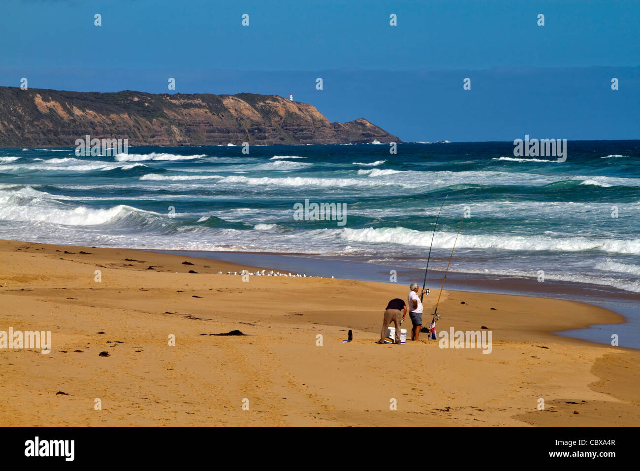 La pêche sur la plage de surf Gunnamatta, Mornington Peninsula National Park, Australie Banque D'Images