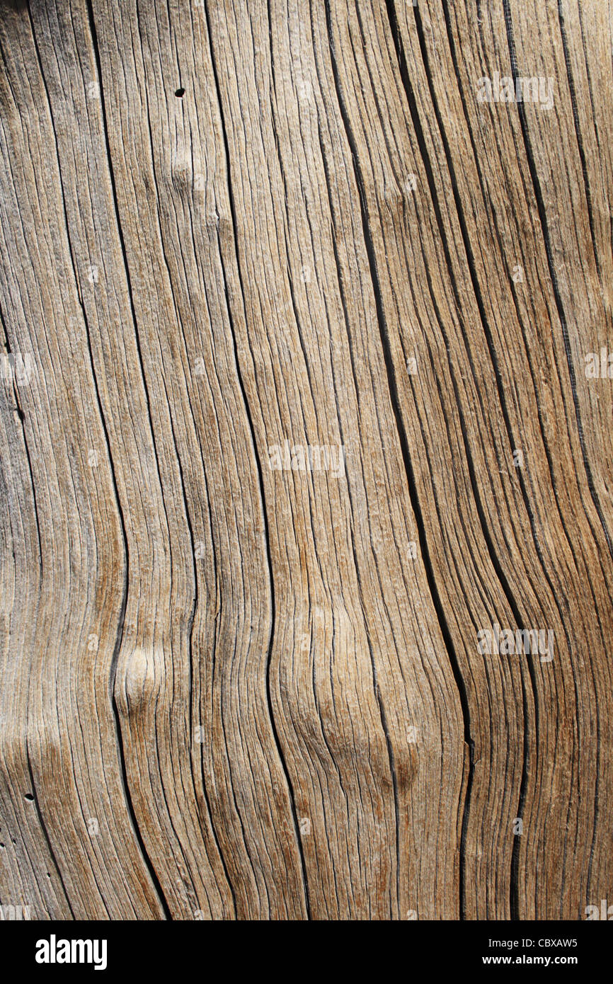 Pine log fissuration texture de fond en bois Banque D'Images