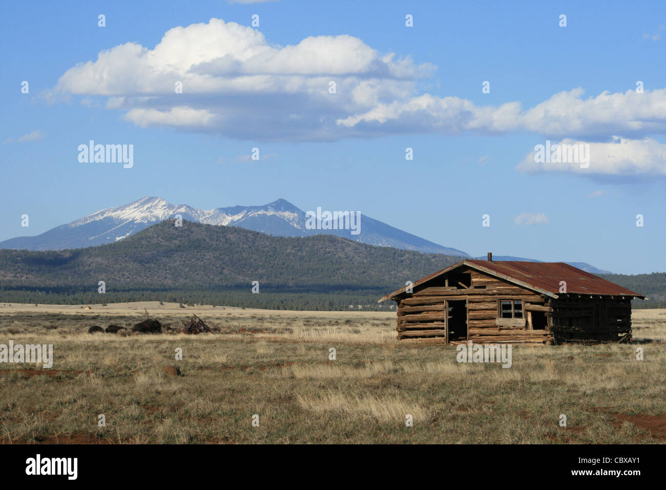 Aperçu de Old log cabin en champ dans le nord de l'Arizona avec le San Francisco Peaks dans l'arrière-plan Banque D'Images