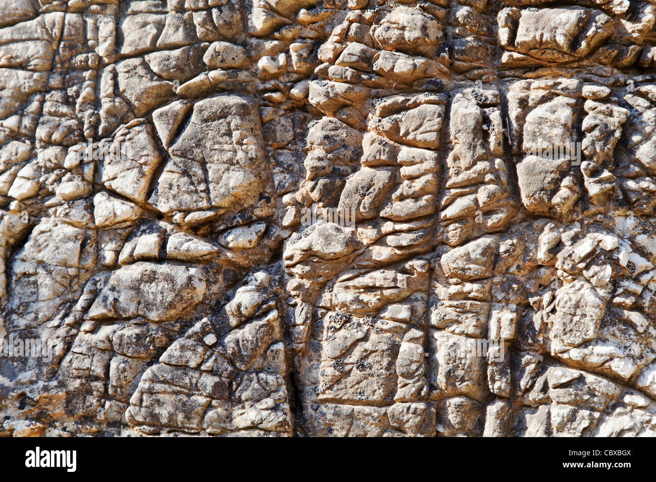 Format paysage ou portrait vieilli naturel texture rock proche de crazy paving Banque D'Images