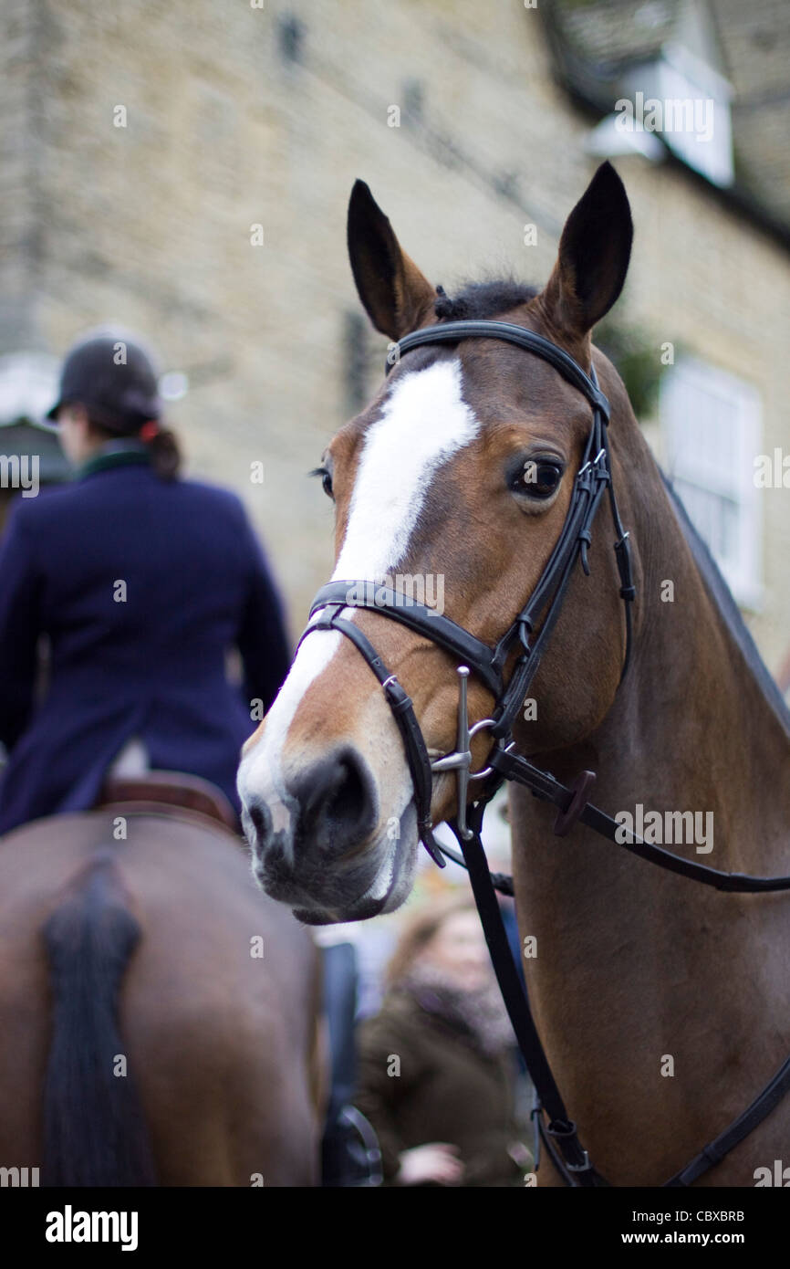 La chasse à l'Heythrop boxing day répondre à Chipping Norton Banque D'Images