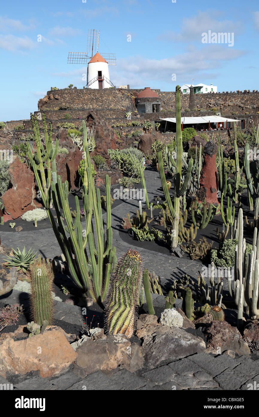 Jardin des cactus - jardin de cactus à Lanzarote, îles Canaries, Espagne Banque D'Images