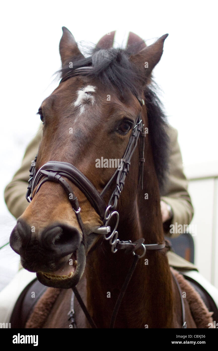 La chasse à l'Heythrop boxing day répondre à Chipping Norton Banque D'Images