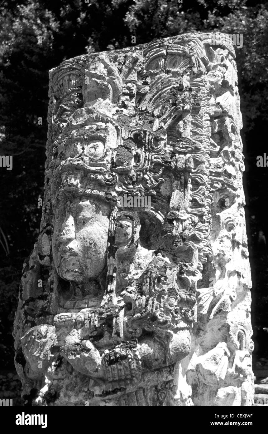Gros plan de Stela H sur les ruines mayas de Copan, Honduras, Amérique centrale Banque D'Images