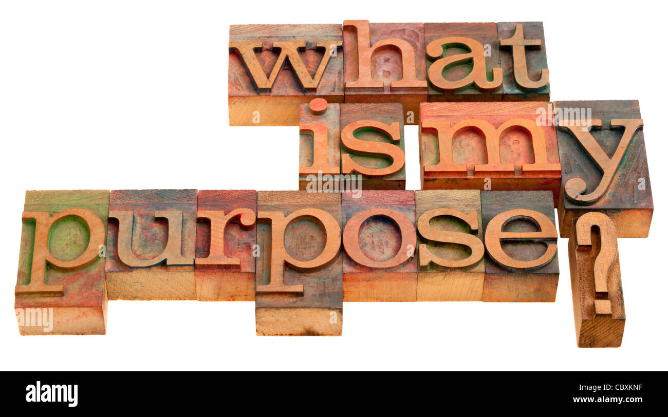 Quel est mon but - question philosophique et spirituelle dans la typographie en bois vintage blocks isolated on white Banque D'Images