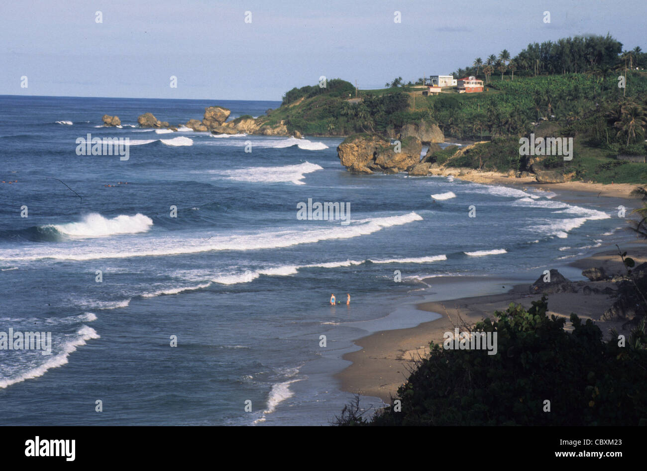 Plage de Bathsheba, Côte Est de la Barbade Banque D'Images