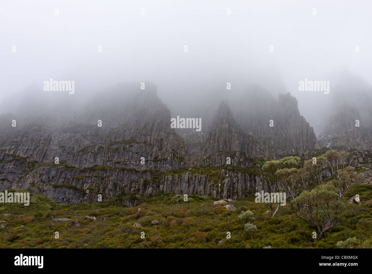 Le versant occidental du Cradle Mountain pour une après-midi brumeux Banque D'Images