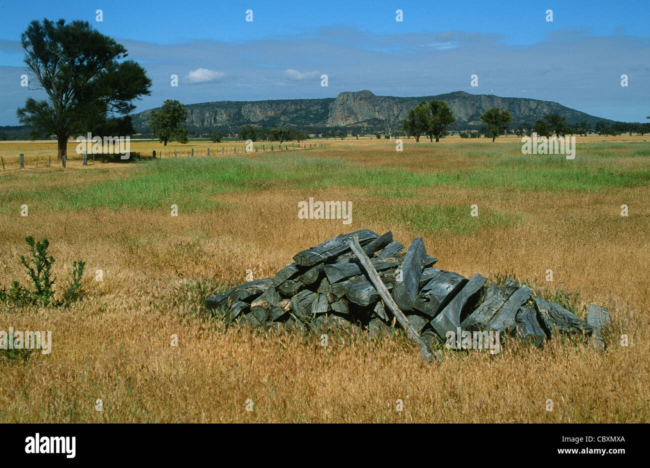 Des champs de blé s'étendant à travers le Mont Arapiles, escalade rocher du Wimmera près de Natimuk dans l'ouest de Victoria, Australie Banque D'Images