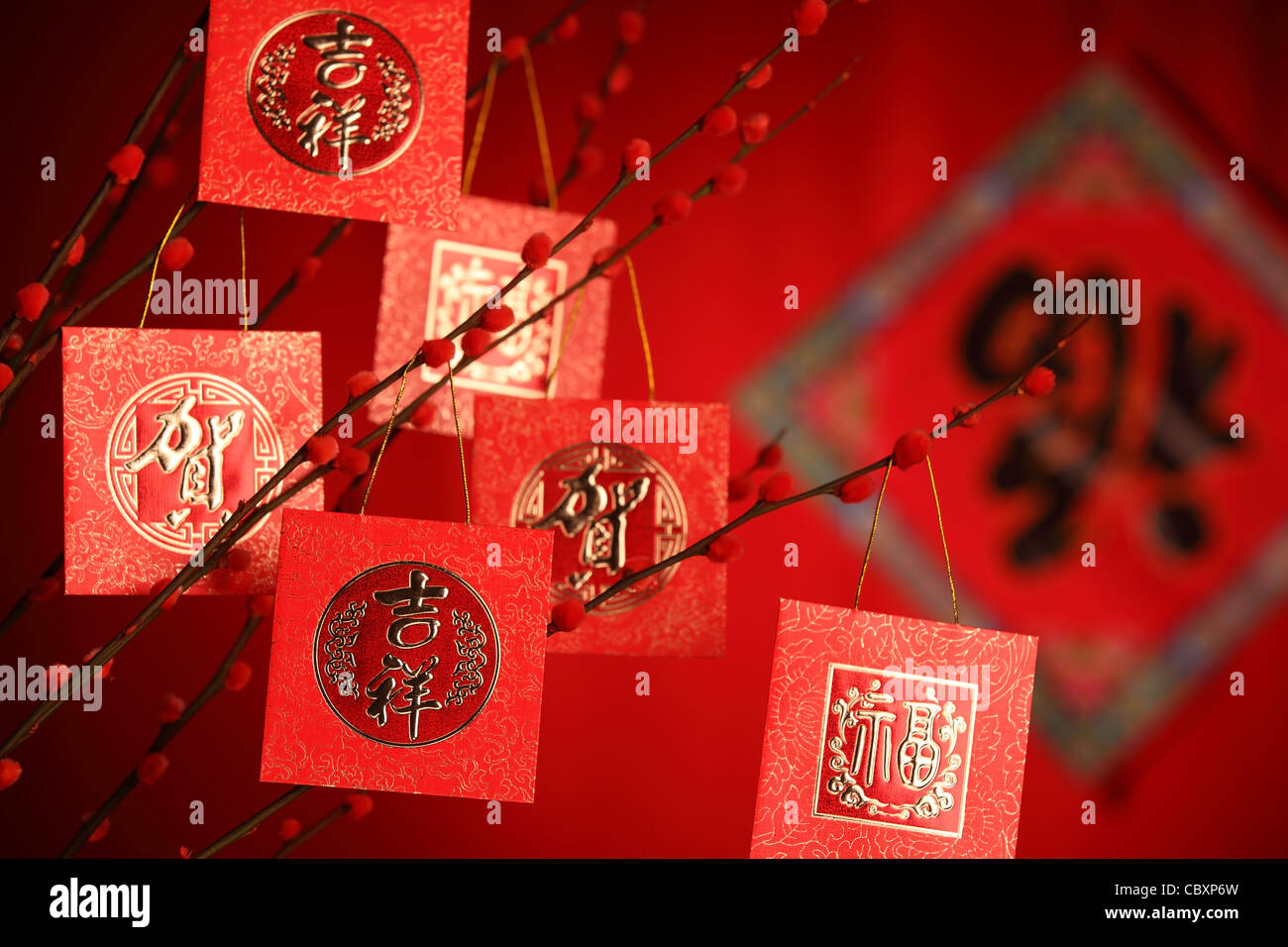 La décoration du Nouvel An chinois--paquet rouge sur prunier,direction des paquets sur caractère symbolise la bonne chance. Banque D'Images