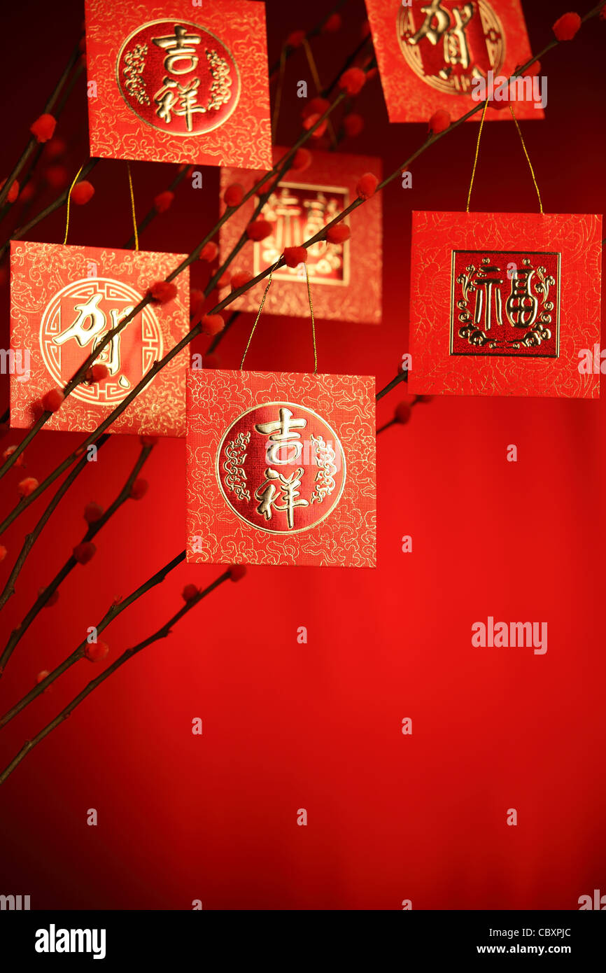 La décoration du Nouvel An chinois--paquet rouge sur prunier,direction des paquets sur caractère symbolise la bonne chance. Banque D'Images