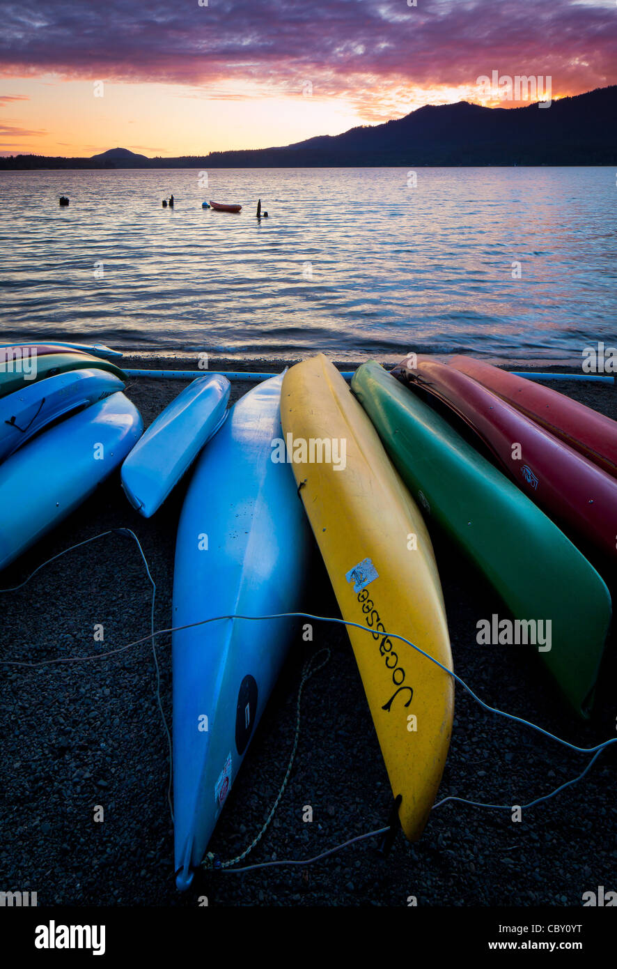 Kayaks sur la rive du lac Quinault dans l'état de Washington's Olympic National Park Banque D'Images