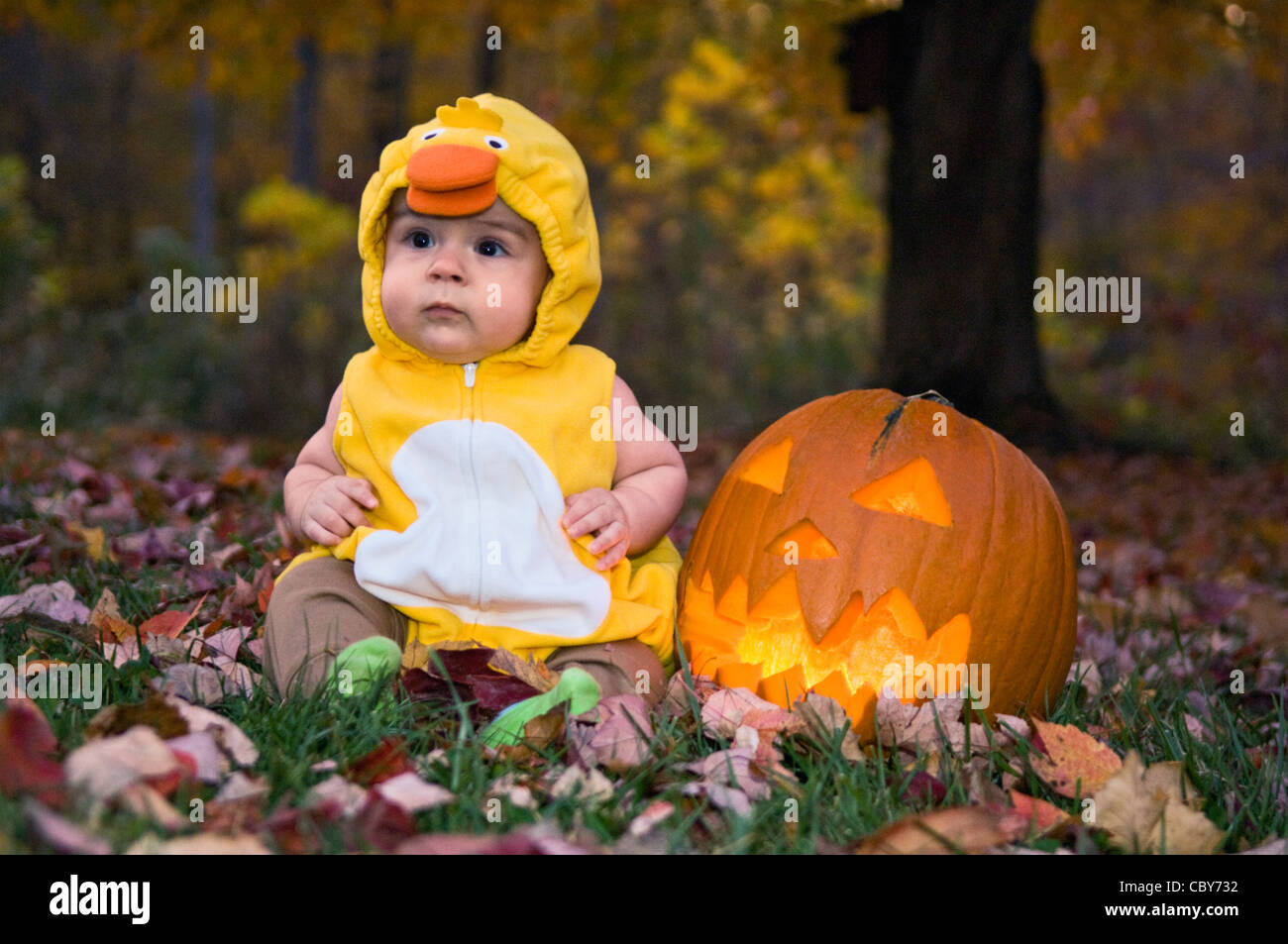 Bebe Garcon Halloween Costume De Canard Assis A Cote De Jack O Lantern Photo Stock Alamy Bebe Garcon Halloween Costume De Canard Assis A Cote De Jack O Lantern Photo Stock Alamy