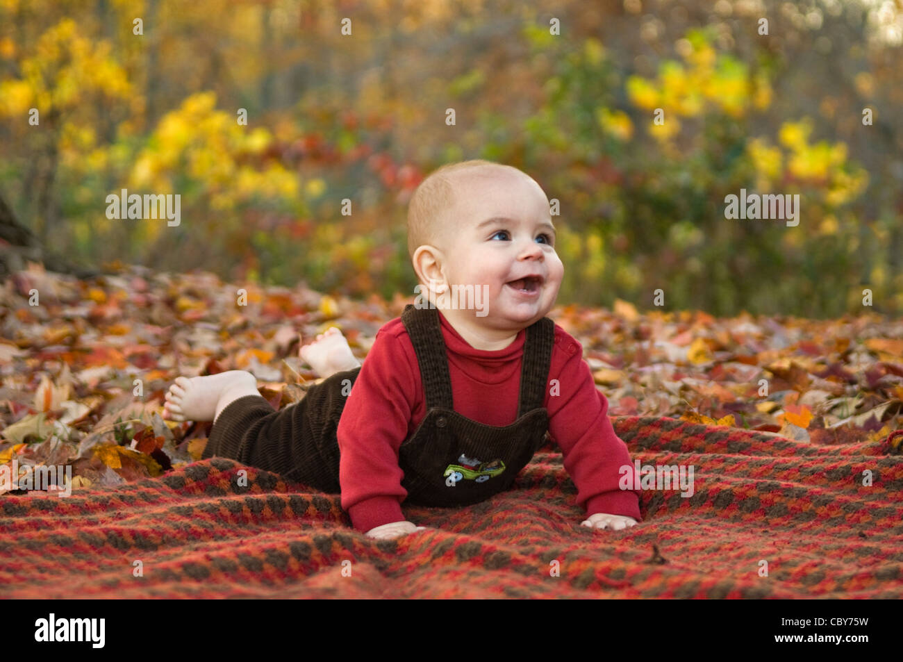 SIx Mois Baby Boy Laying on Blanket En dehors au milieu d'automne Couleur Banque D'Images