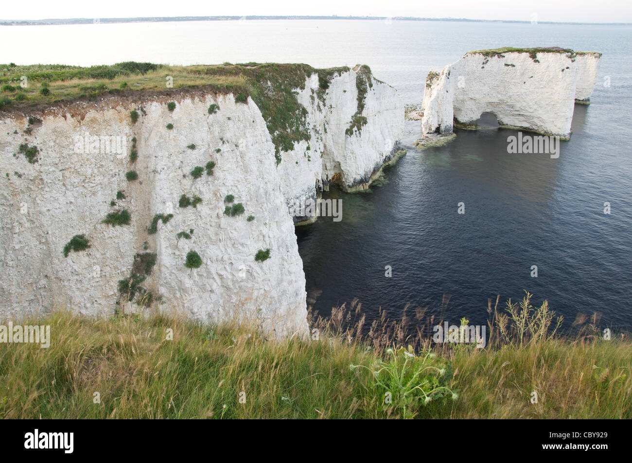 Old Harry Rocks. Piles de craie massive debout juste à côté de la de vertigineuses falaises de calcaire de la côte de Purbeck. Dorset, Angleterre, Royaume-Uni. Banque D'Images