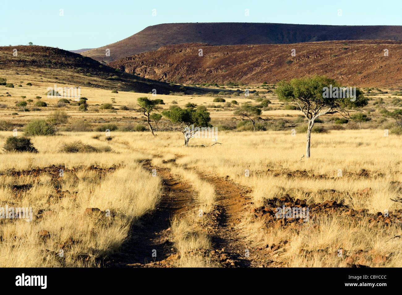 Torra Conservancy - Paysage près de la région de Kunene, Wereldsend, Namibie, Afrique Banque D'Images