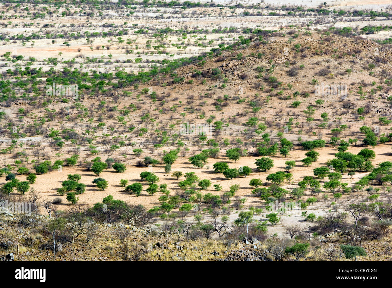 Proche Etambura Camp - Orupembe Conservancy - Kaokoland, Namibie Banque D'Images