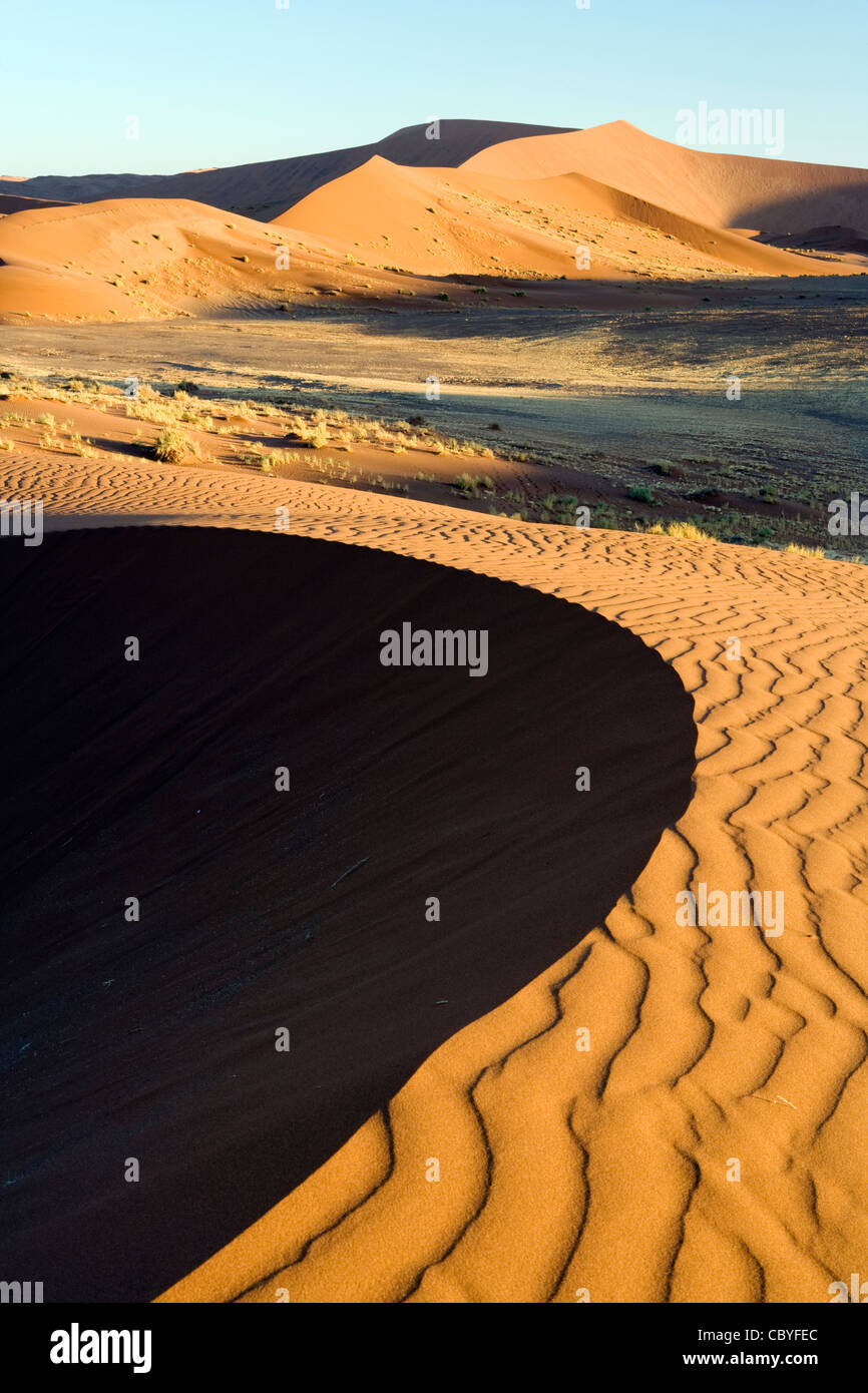 Les patrons des dunes - Sossusvlei - Parc national du Namib-Naukluft National Park, Namibie, Afrique Banque D'Images