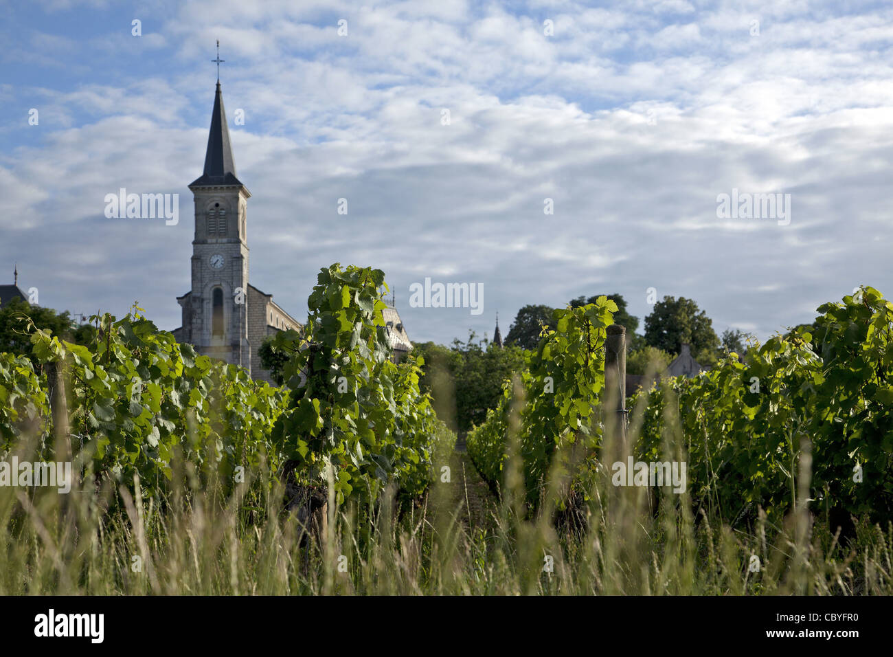 L'ÉGLISE ET DES VIGNES À aloxe-corton, LA GRANDE ROUTE DES VINS DE BOURGOGNE, CÔTE D'OR (21), FRANCE Banque D'Images