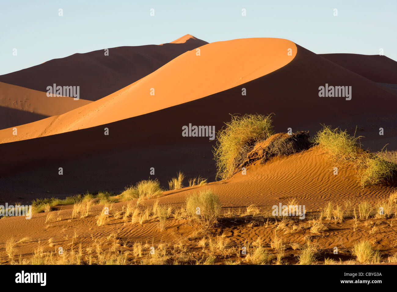 Les patrons des dunes - Sossusvlei - Parc national du Namib-Naukluft National Park, Namibie, Afrique Banque D'Images