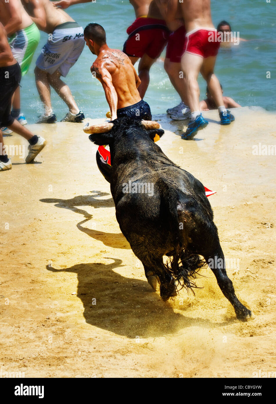 Les jeunes fêtards espagnol au "Bous a la mar" ou Bulls à la fête de la mer à Denia, Espagne 2011 Banque D'Images