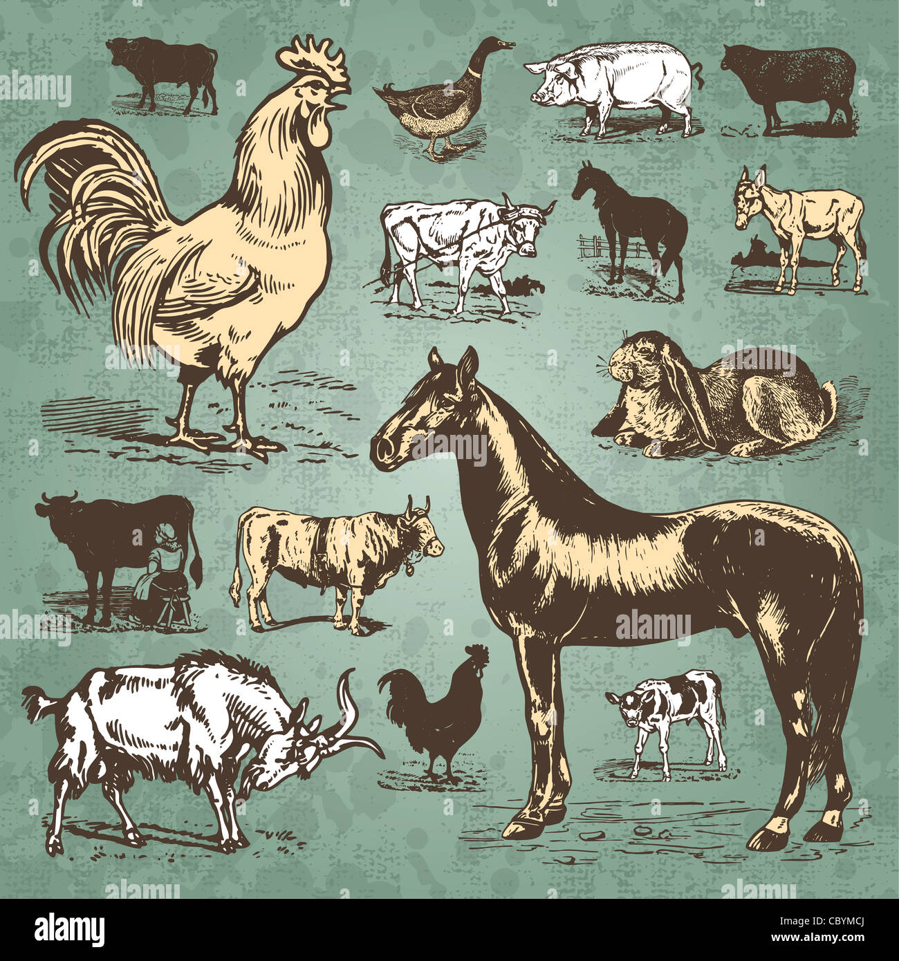 ensemble de dessins d'animaux de ferme. icônes d'animaux. illustrations vintage. Banque D'Images